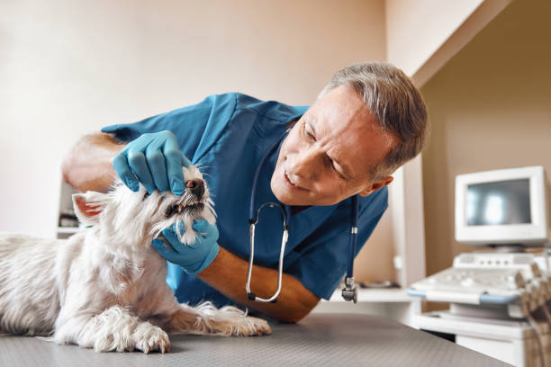 Best Emergency Treatment for Toothache in Tutwiler, MS